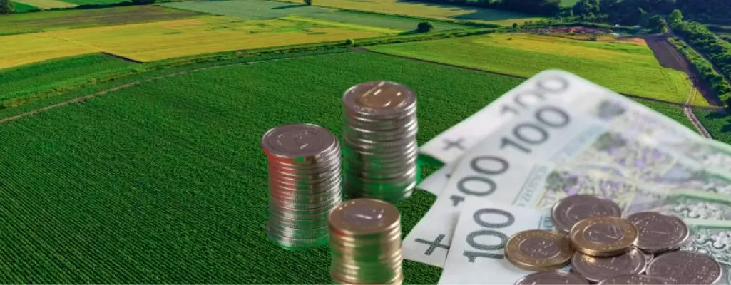 Obrazek wyróżniający w artykule PFRON refundacja składek KRUS. Widoczne banknoty i stosy monet na tle zielonych uprawnych pól.